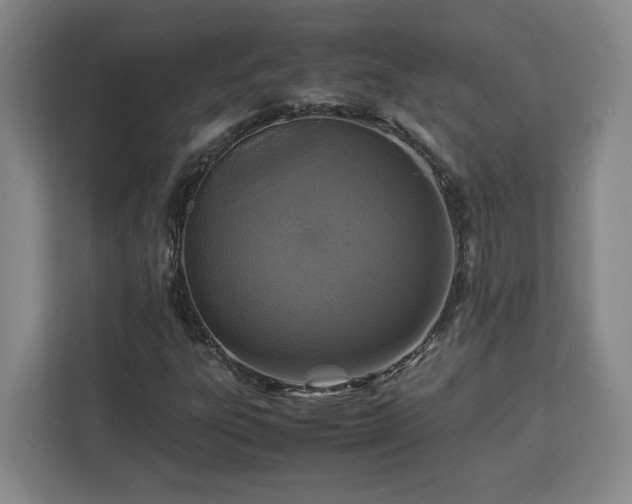 X0000112951303200908311501