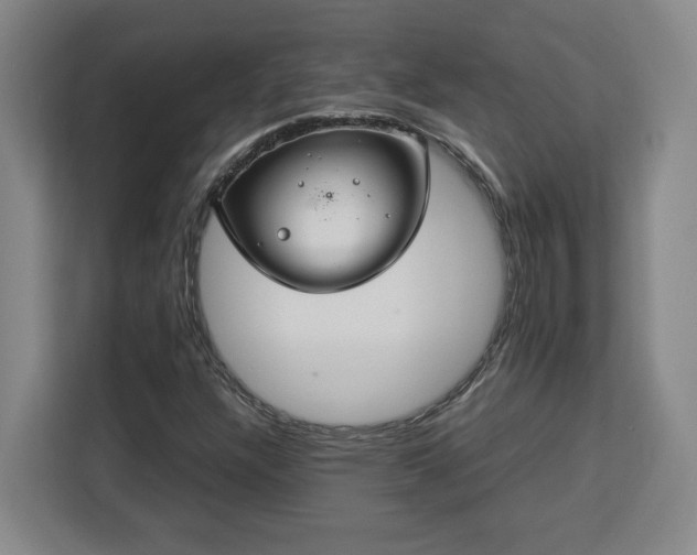 X0000112951304200908311501