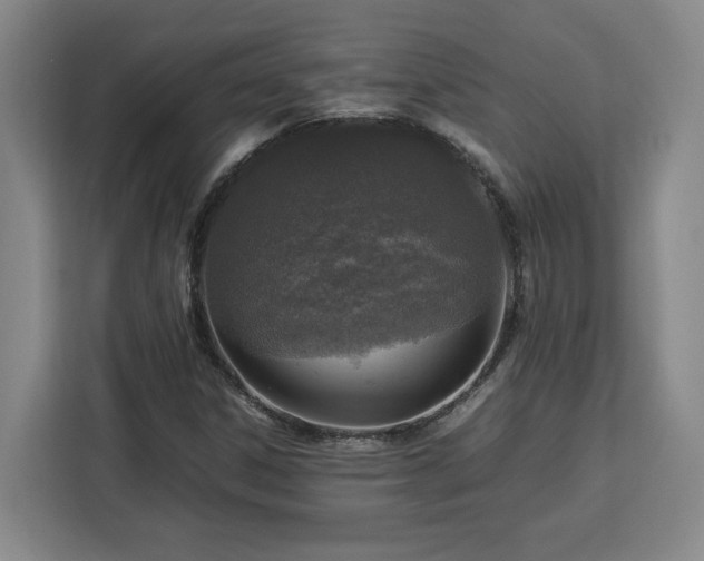 X0000112951306200908311501