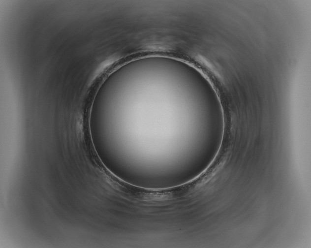 X0000112951307200908311501