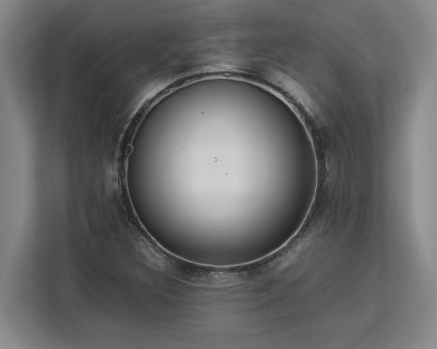 X0000112951308200908311501