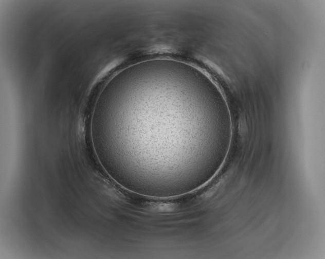 X0000112951309200908311501