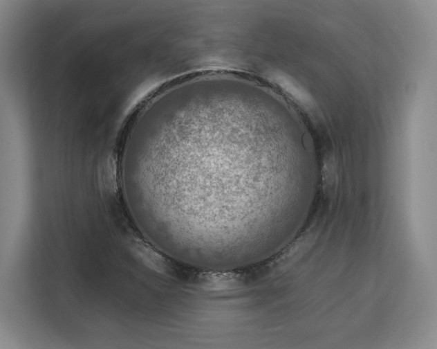 X0000112951310200908311501