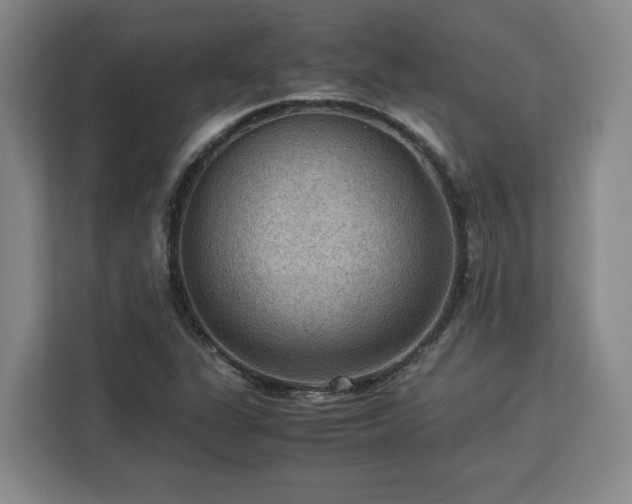 X0000112951311200908311501