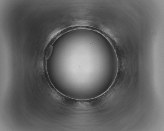 X0000112951312200908311501