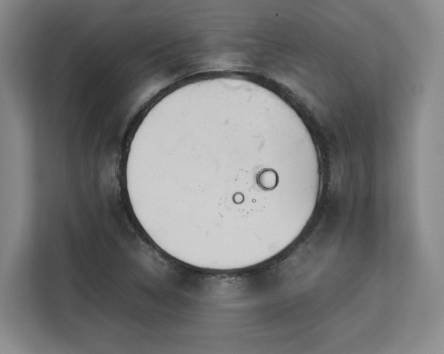 X0000112951314200908311501