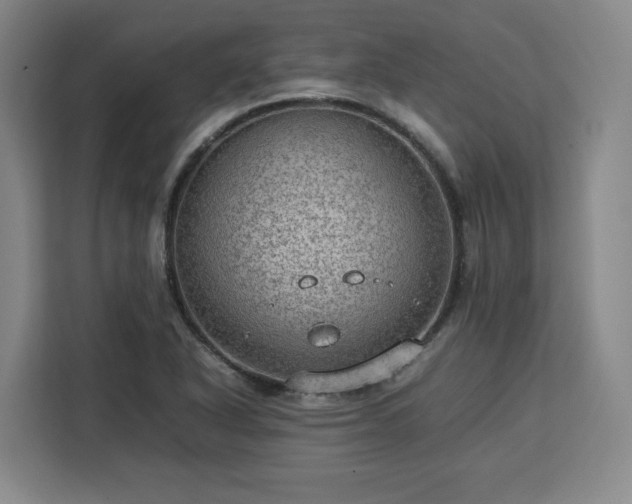 X0000112951318200908311501