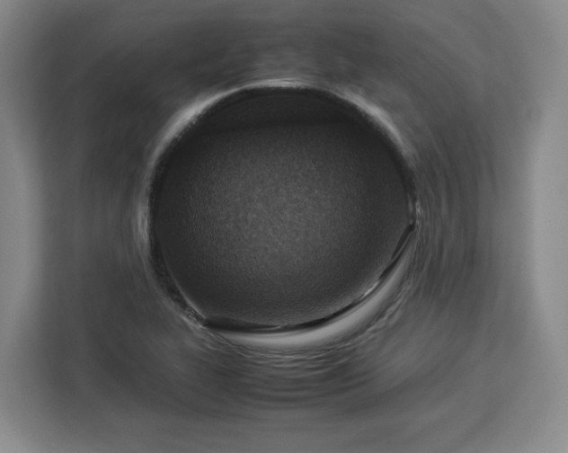 X0000112951319200908311501