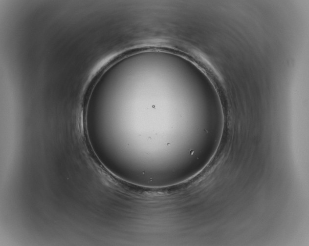 X0000112951320200908311501