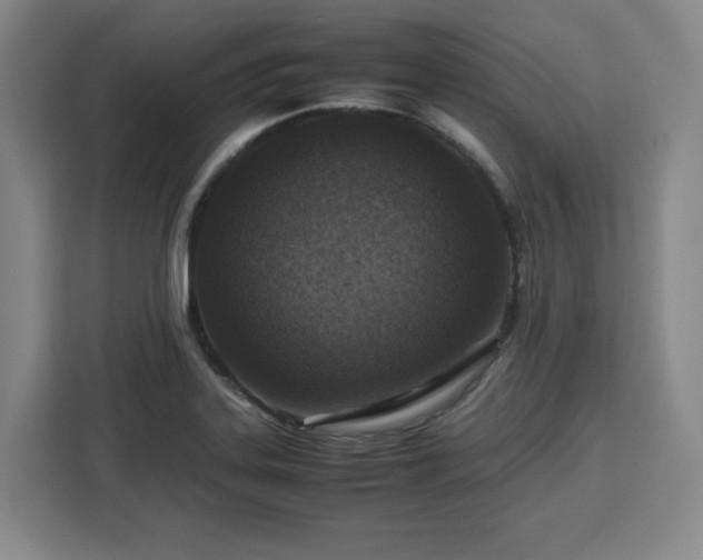 X0000112951323200908311501