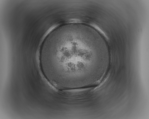 X0000112951325200908311501