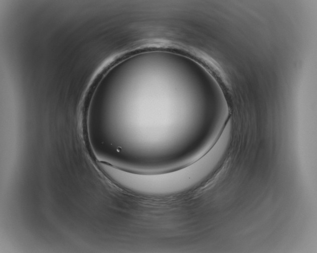 X0000112951326200908311501