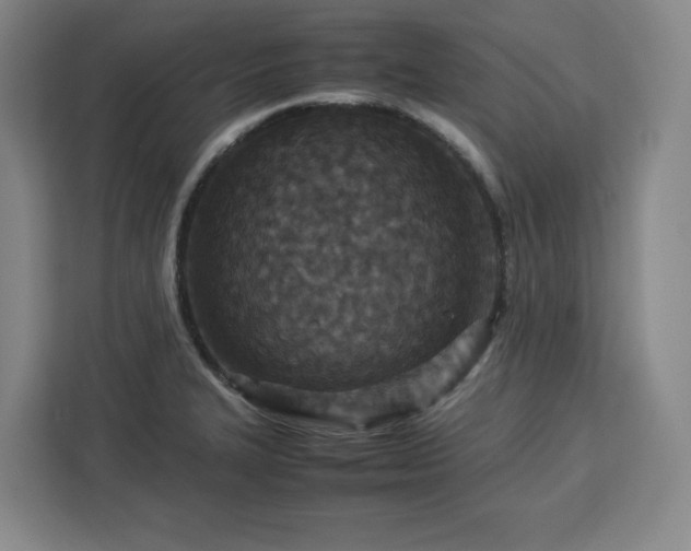 X0000112951327200908311501