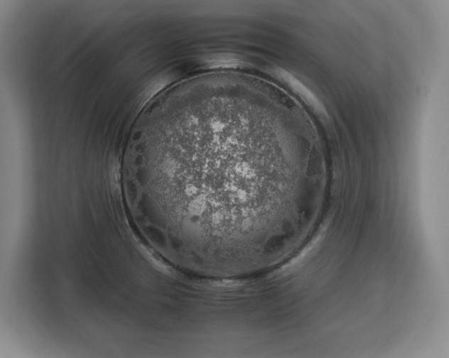 X0000112951329200908311501