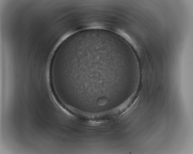 X0000112951331200908311501