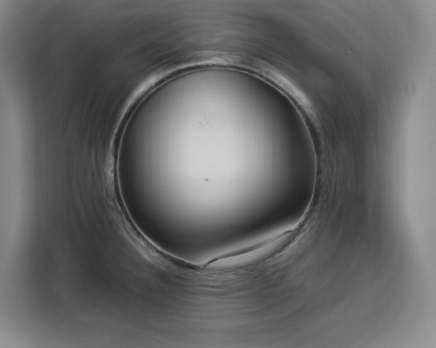 X0000112951332200908311501