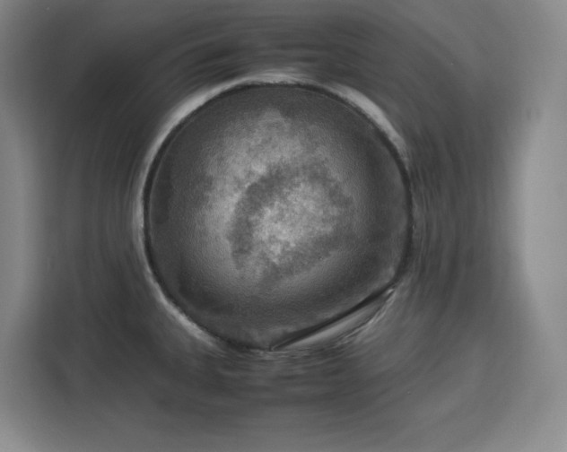 X0000112951335200908311501