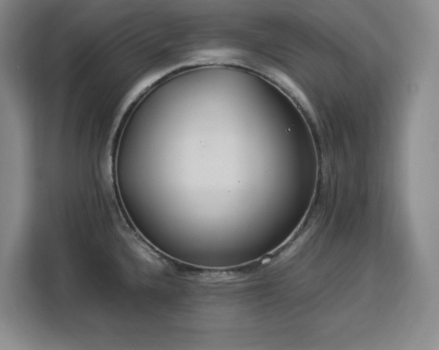 X0000112951336200908311501