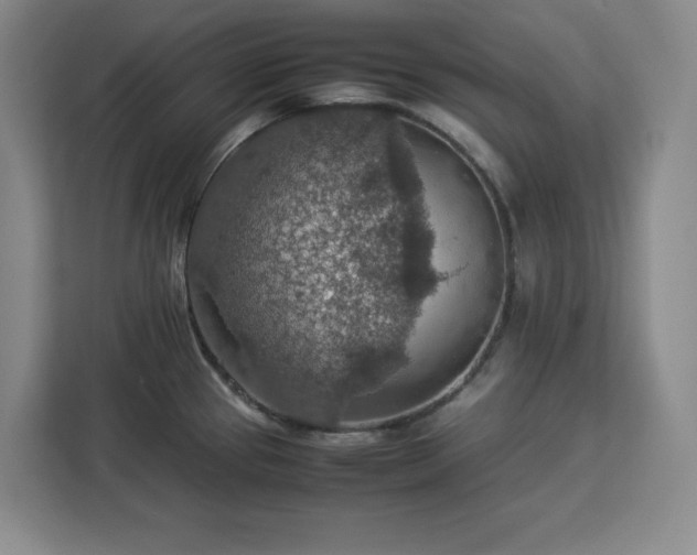 X0000112951337200908311501