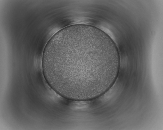 X0000112951338200908311501