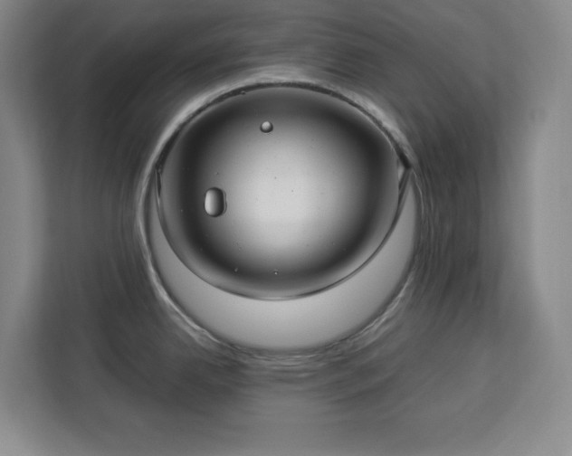 X0000112951342200908311501