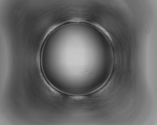 X0000112951343200908311501