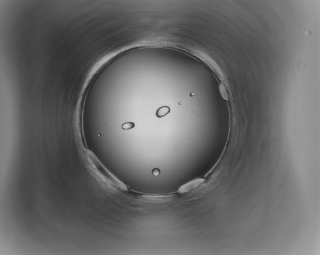 X0000112951344200908311501