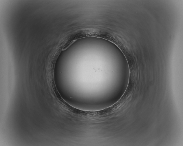 X0000112951345200908311501