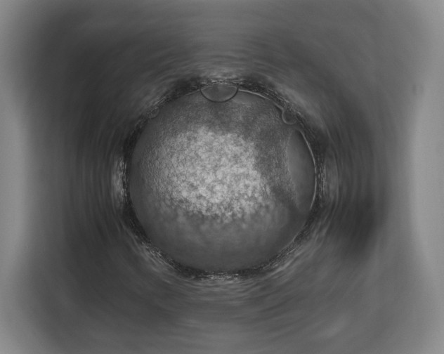 X0000112951346200908311501