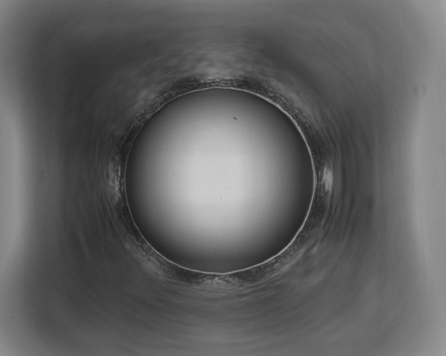 X0000112951348200908311501