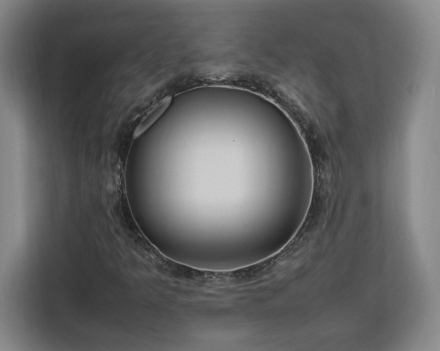 X0000112951349200908311501