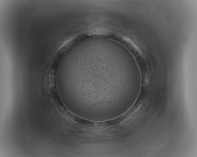 X0000112951350200908311501