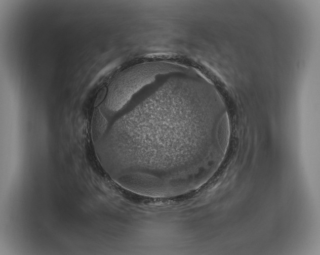 X0000112951351200908311501