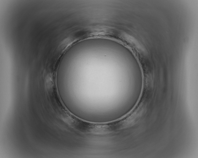 X0000112951353200908311501