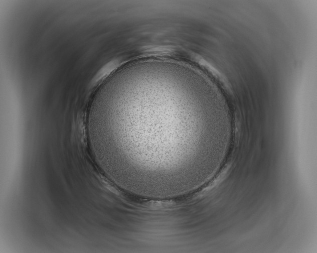 X0000112951354200908311501