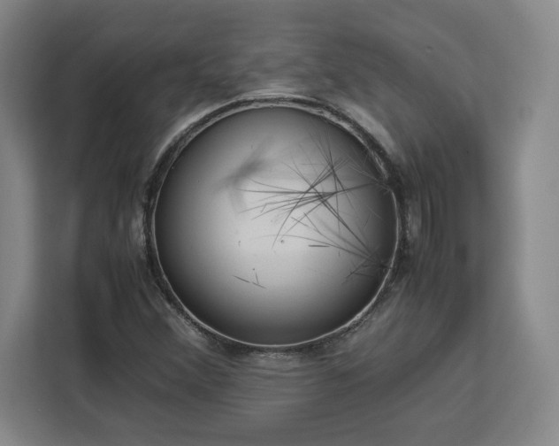 X0000112951356200908311501