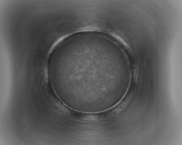 X0000112951358200908311501