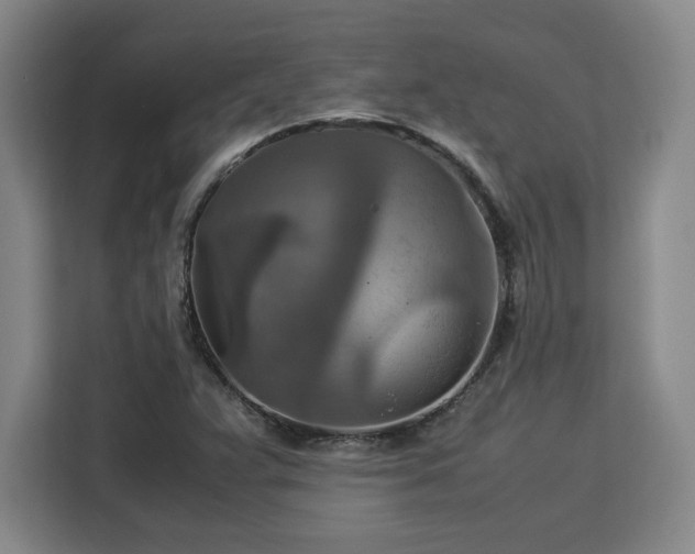 X0000112951359200908311501