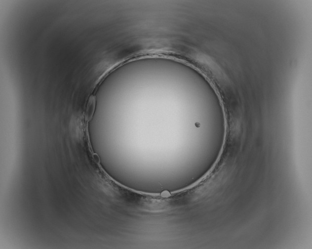 X0000112951361200908311501