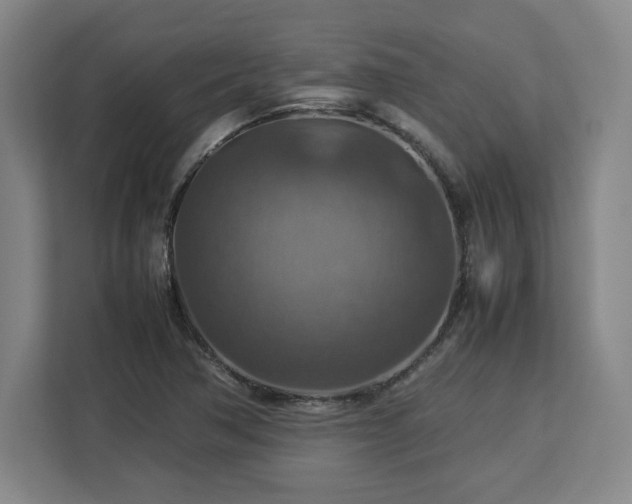 X0000112951362200908311501