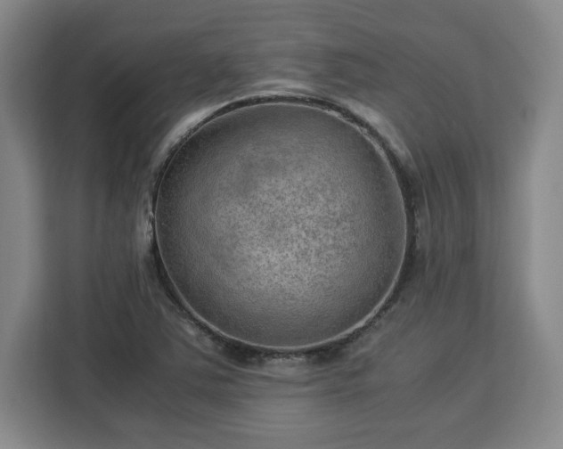 X0000112951363200908311501