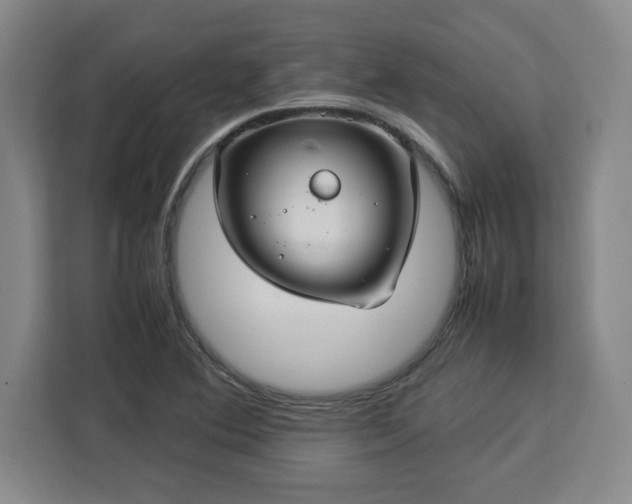 X0000112951364200908311501