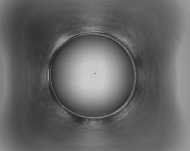 X0000112951365200908311501