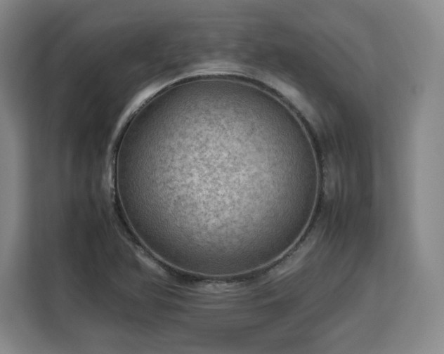 X0000112951366200908311501