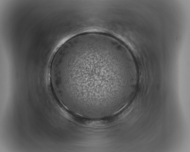 X0000112951367200908311501