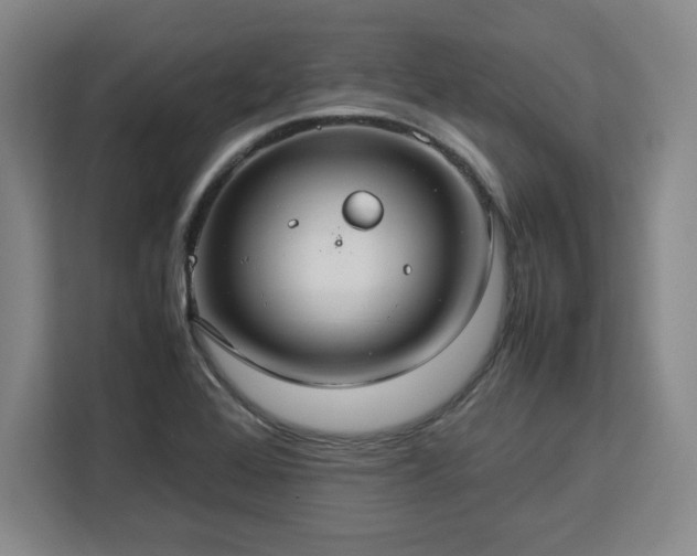 X0000112951368200908311501