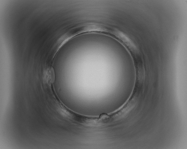 X0000112951369200908311501