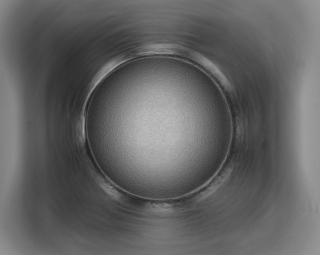 X0000112951370200908311500