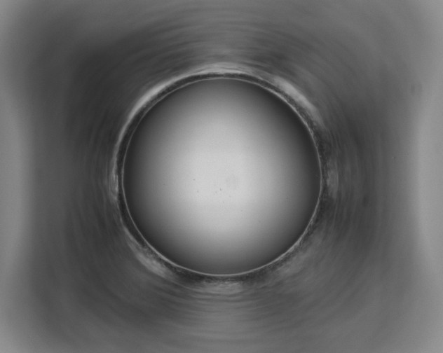 X0000112951372200908311500