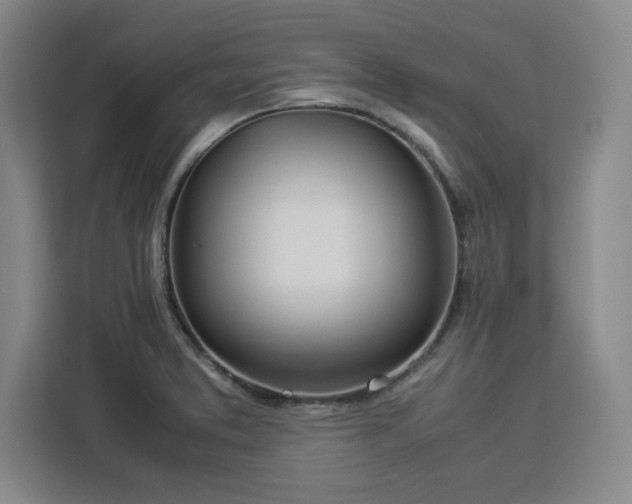 X0000112951373200908311500